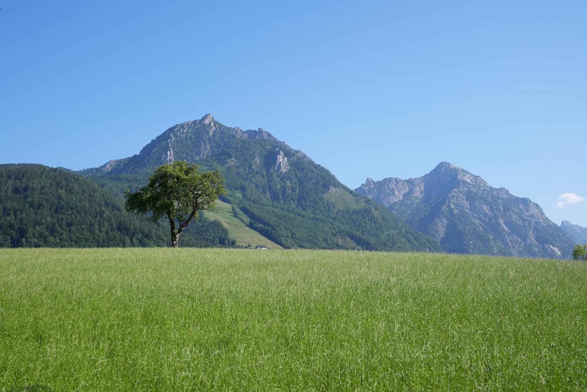 Bergblick 411 Am Wolfgangsee Strobl Phòng bức ảnh